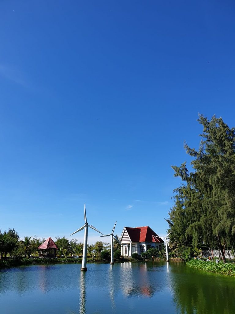 Khai long rung ngap man mui ca mau 768x1024 - [MŨI CÀ MAU] KHÁM PHÁ RỪNG NGẬP MẶN LỚN NHẤT VIỆT NAM