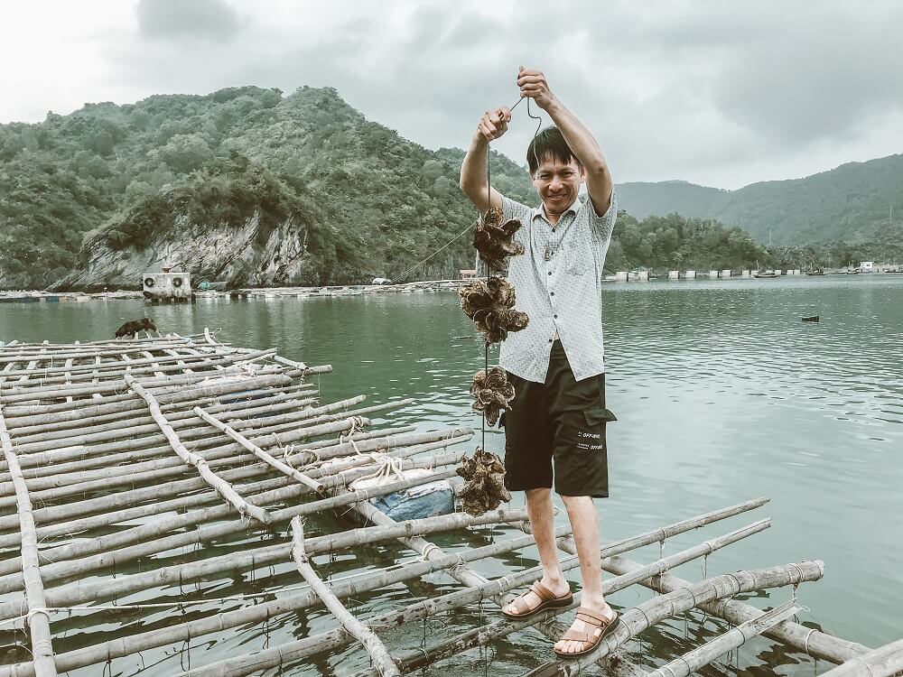Du lịch Cát Bà | Bật mí 9 tọa độ check in HOT HÒN HỌT - Khoai lọ mọ