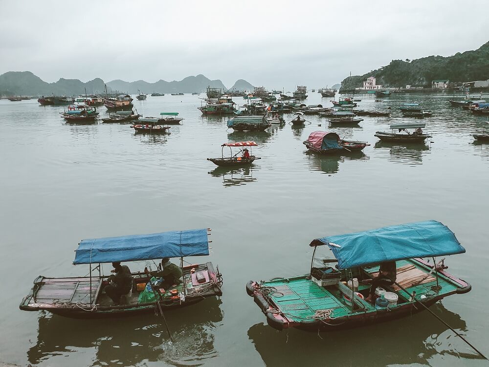 Cang ca cat ba 2 review cat ba - TRIỂN CHILL CÁT BÀ, VỊNH LAN HẠ CÙNG THỔ ĐỊA CHẢ LO CHI PHÍ