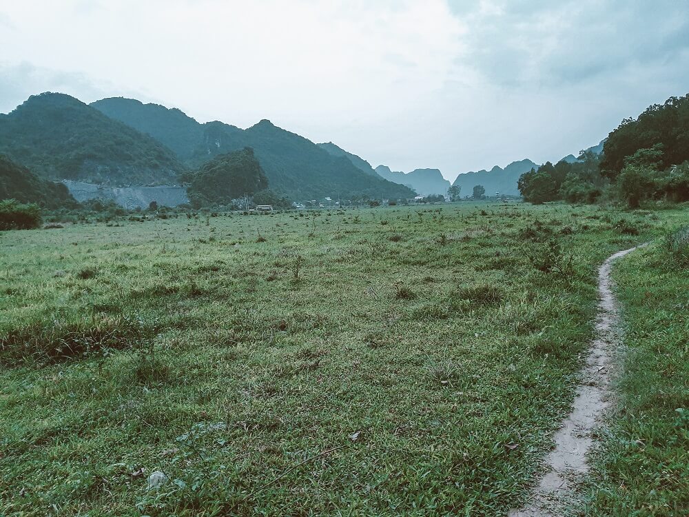 Con-duong-xuyen-rung-vao-khu-suoi-can-du-lich-cat-ba