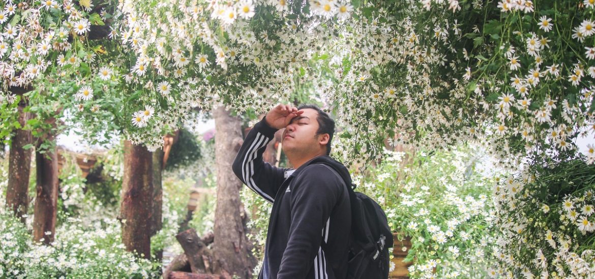 Thumnail-lang-phi-tien-bac-khoai-lo-mo